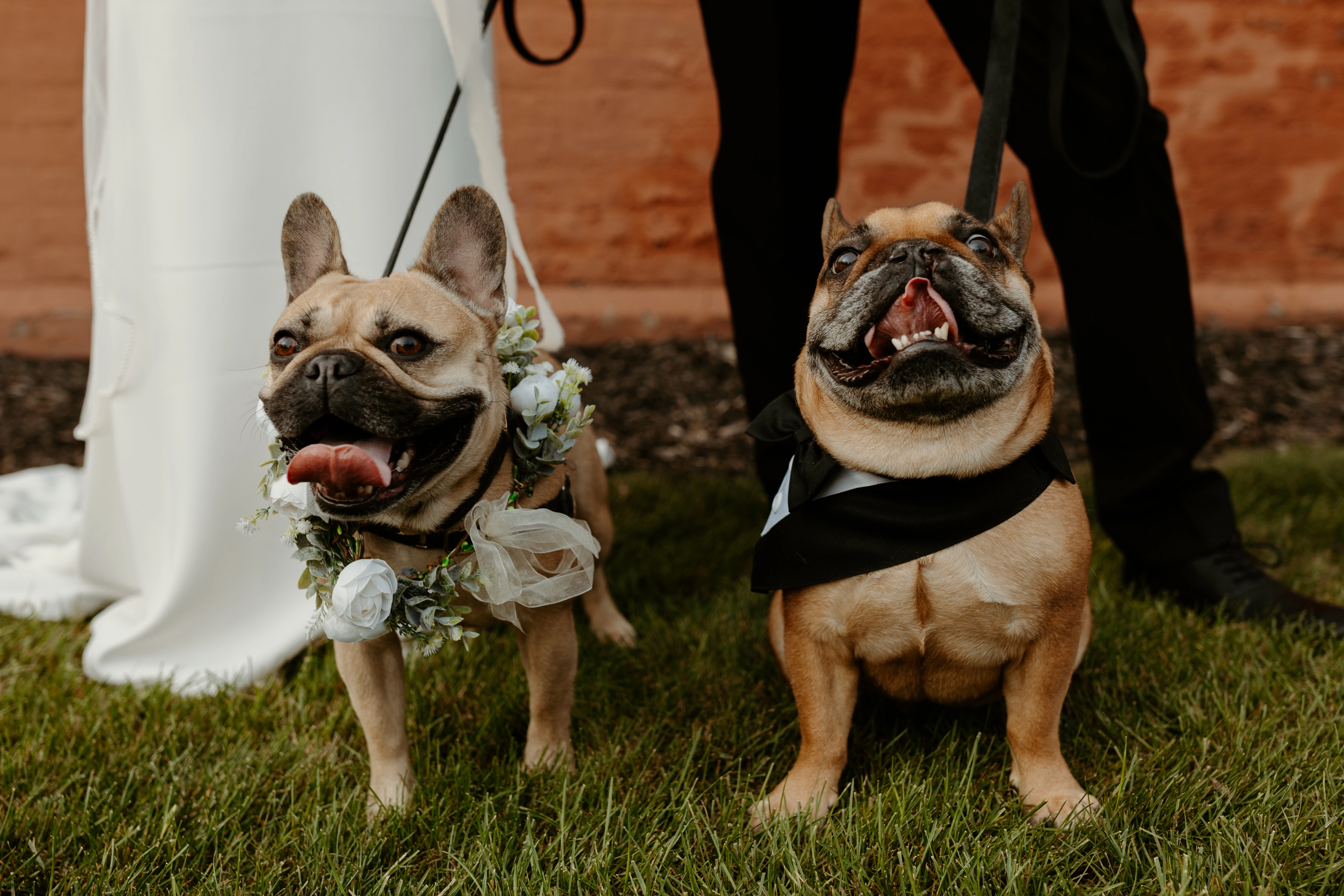 Sadie (left) and Frankie (right)