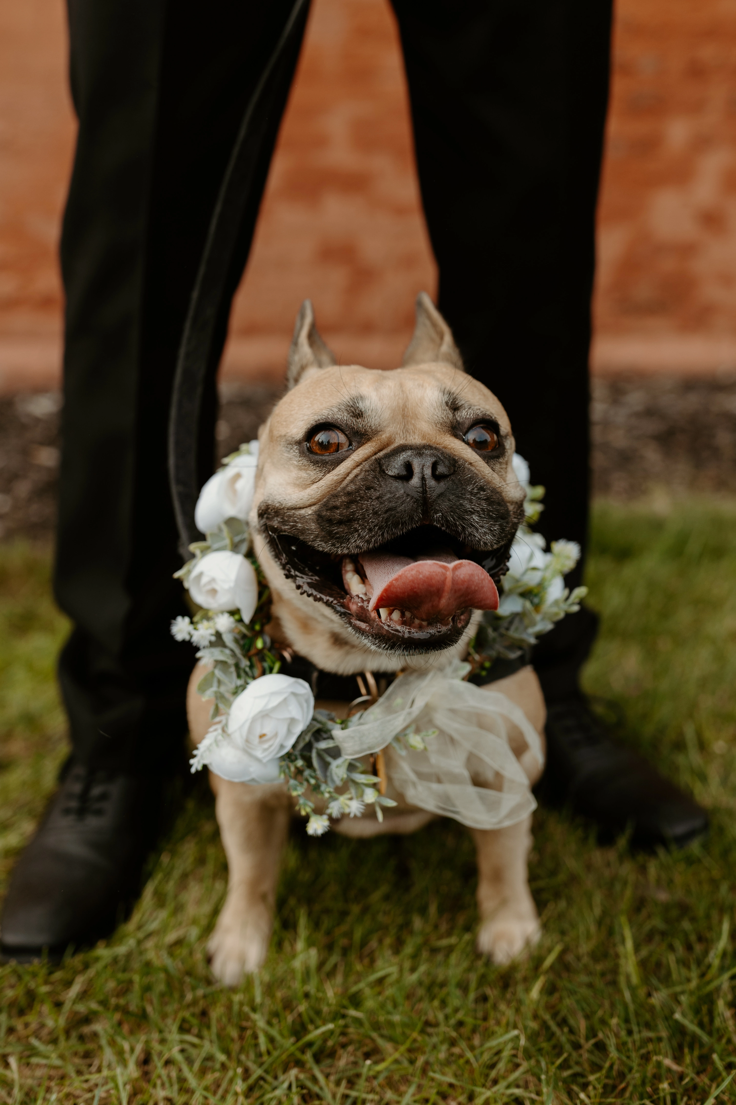 Sadie at our wedding